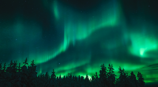 7 Gratitude Journal Prompts For Personal Growth